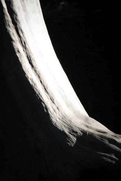 1001997_10152037534308304_2028771501_n